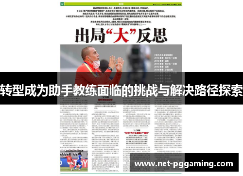 转型成为助手教练面临的挑战与解决路径探索