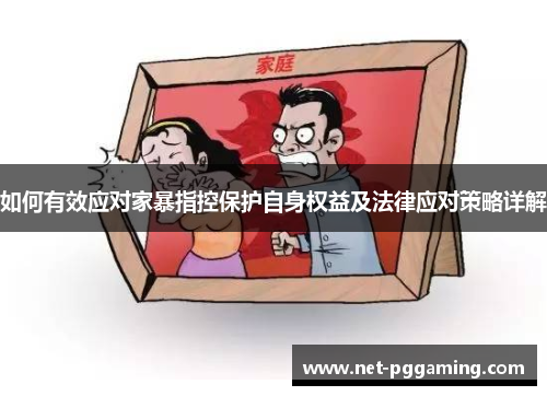 如何有效应对家暴指控保护自身权益及法律应对策略详解