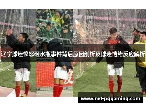 辽宁球迷愤怒砸水瓶事件背后原因剖析及球迷情绪反应解析