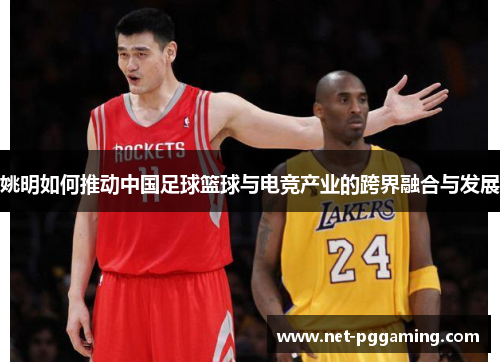 姚明如何推动中国足球篮球与电竞产业的跨界融合与发展