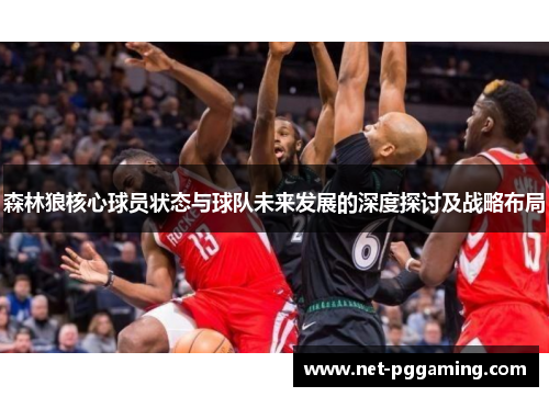 森林狼核心球员状态与球队未来发展的深度探讨及战略布局