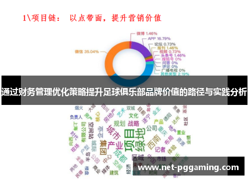 通过财务管理优化策略提升足球俱乐部品牌价值的路径与实践分析